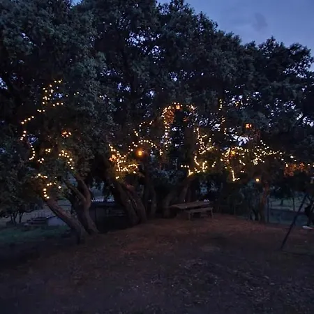 Quinta Do Chao D'ordem Vila Nova de Foz Côa
