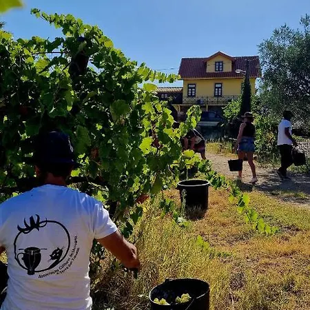 Farma Quinta Do Chao D'ordem Vila Nova de Fozcoa