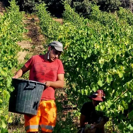 Quinta Do Chao D'ordem Farma Vila Nova de Fozcoa