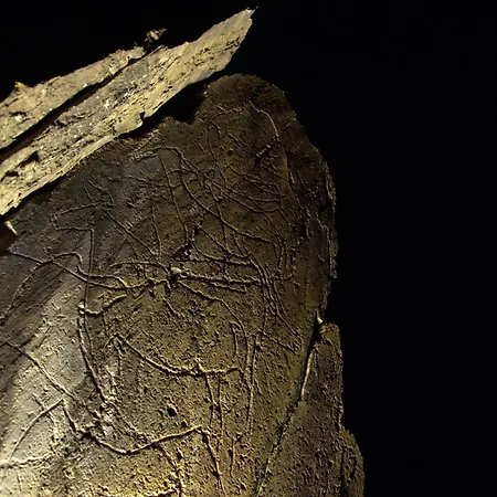 Farm stay Quinta Do Chao D'ordem