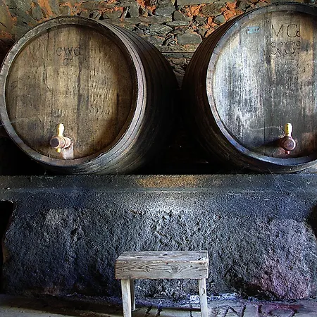 Farm stay Quinta Do Chao D'ordem *