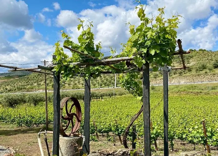 Quinta Do Chao D'ordem * Vila Nova de Foz Coa