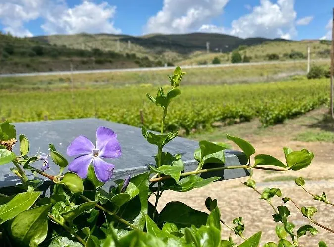 Quinta Do Chao D'ordem Farm stay Vila Nova de Foz Coa