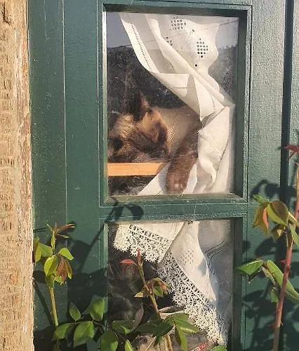 Quinta Do Chao D'ordem Farm stay