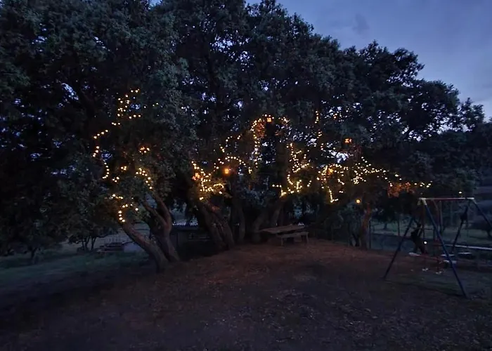 Quinta Do Chao D'ordem Vila Nova de Foz Coa