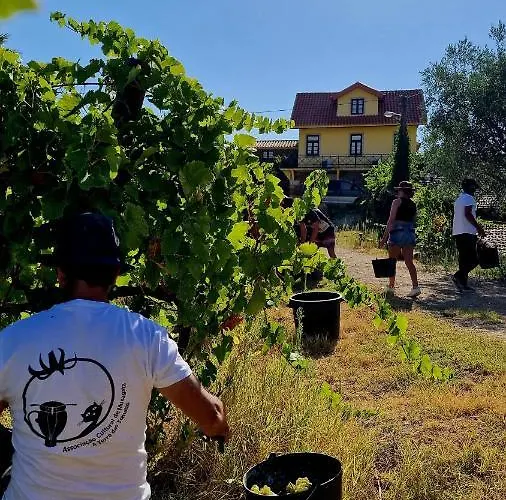 Farm stay Quinta Do Chao D'ordem Vila Nova de Foz Coa