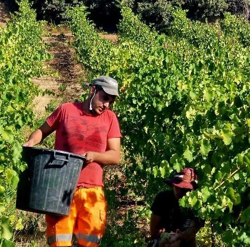 Quinta Do Chao D'ordem Farm stay Vila Nova de Foz Coa