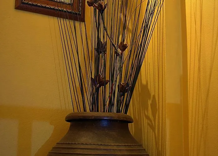 Quinta Do Chao D'ordem Farm stay *