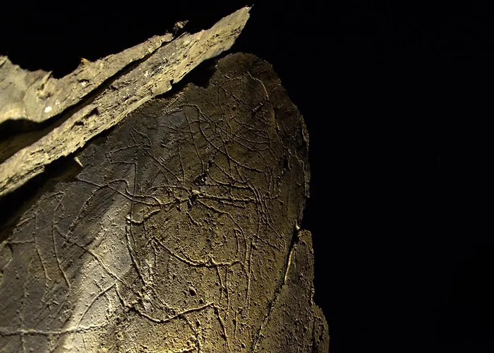 Farm stay Quinta Do Chao D'ordem