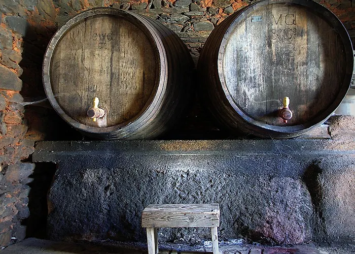 Farm stay Quinta Do Chao D'ordem *